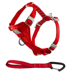 golden retriever puppy car harness