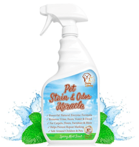 golden retriever puppy pee cleaner