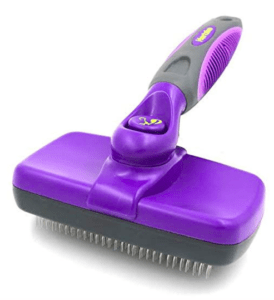 golden retriever puppy brush