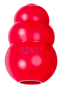 kong dog chew toy