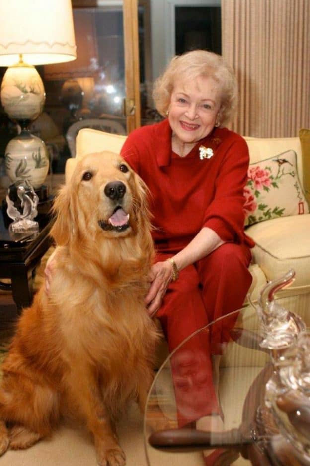 betty white golden retriever