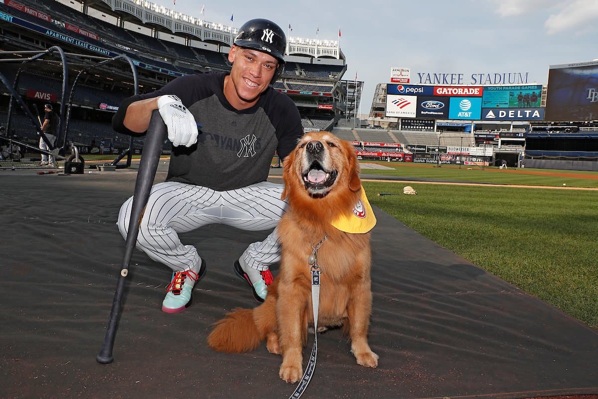 rookie bat dog for trenton thunder