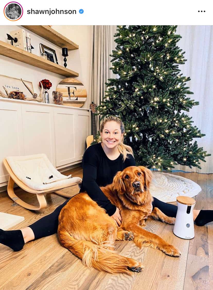 shawn johnson golden retriever