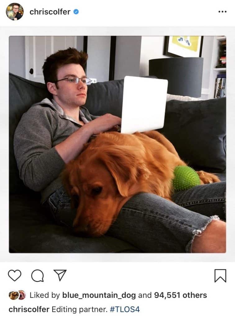 chris colfer golden retriever cooper