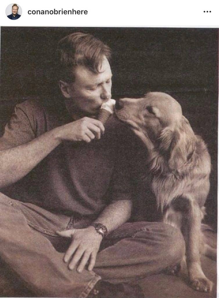 conan obrien golden retriever coco