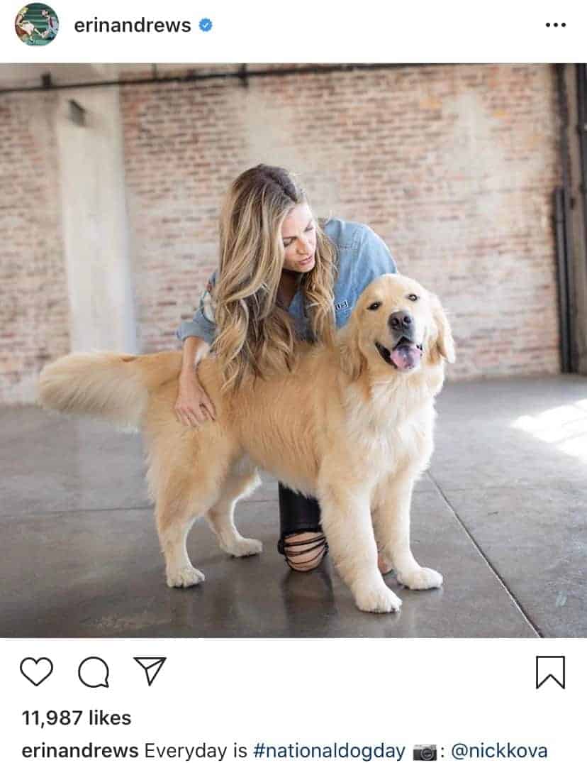 erin andrews golden retriever dog