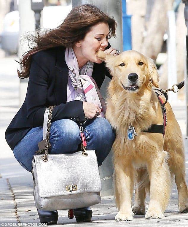 lisa vanderpump golden retriever rumpy