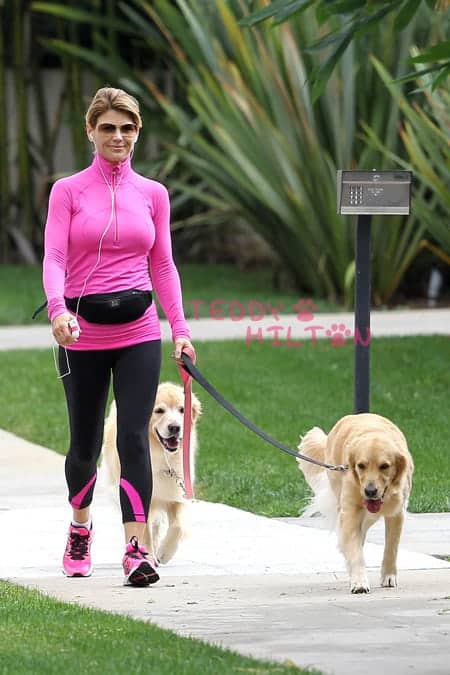lori loughlin golden retriever