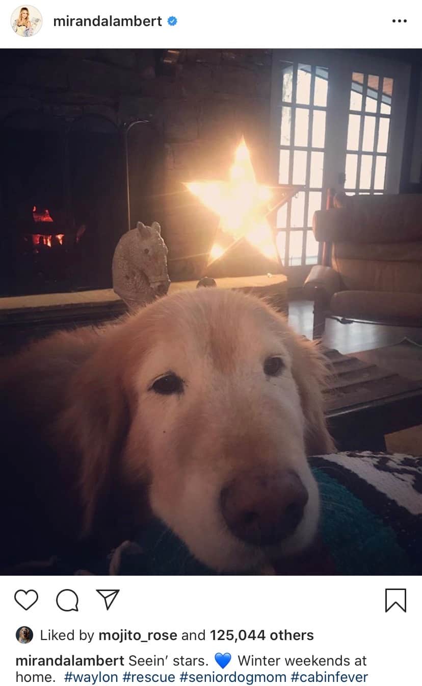 miranda lambert waylon