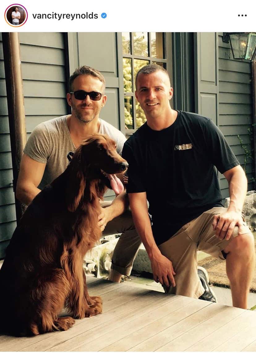 ryan reynolds golden retriever billie