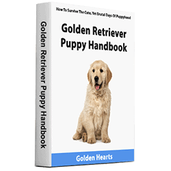 golden retriever puppy handbook