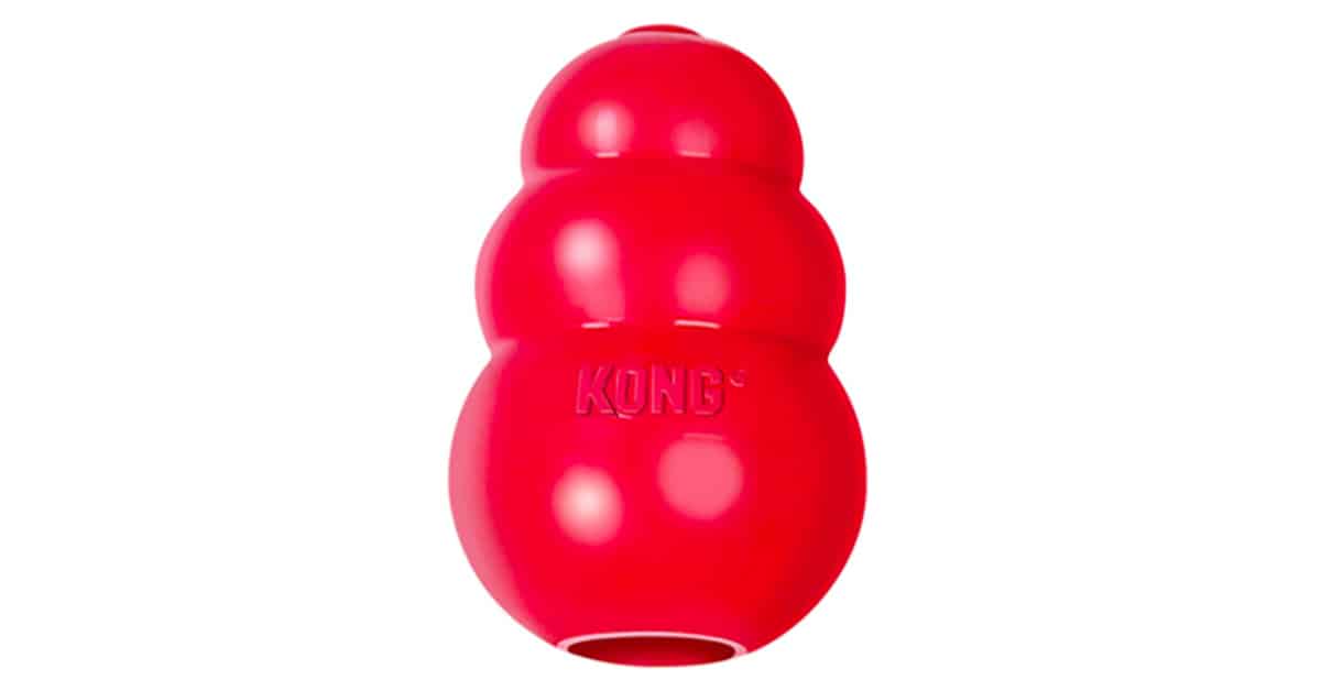 frozen kong